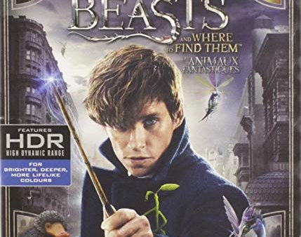 FANTASTIC BEASTS & WHERE TO FIND THEM  - BLU-4K-INC. BLU COPY Online