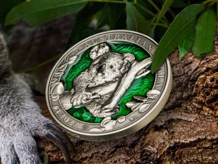 Colours of Wildlife Koala 3oz Silver Coin For Cheap